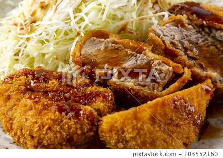 Plate of delicious pork cutlet with sauce 103552160