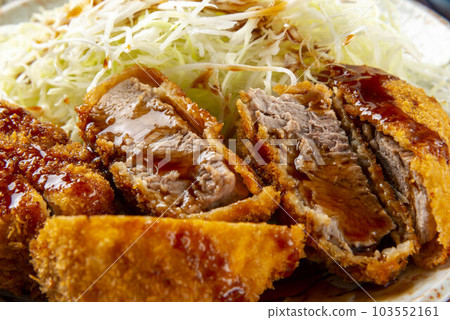 一盤美味的醬汁炸豬排 103552161