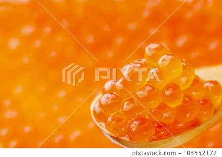 Ikura用醬油醃製 103552172