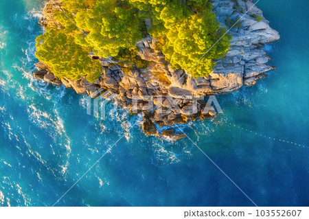 View from the air on the waves and rocks. Sea relaxation and travel. The forest near the sea. 103552607