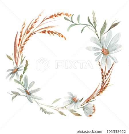 Daisy wheel, chamomile white flower. Watercolor illustration. Clip-art. Daisy wheel, chamomile white flower. Watercolor illustration. Clip-art. 103552622
