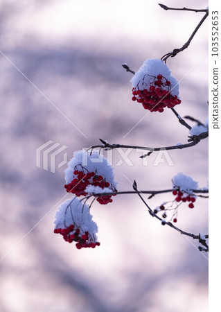 Nanakamado covered with snow in winter Nanakamado covered with snow in winter 103552653