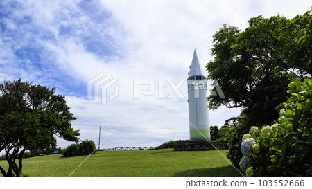 神奈川縣三浦市城島的繡球花 神奈川縣三浦市城島的繡球花 103552666