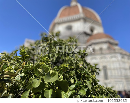 佛羅倫薩大教堂圓頂的生活 103552685