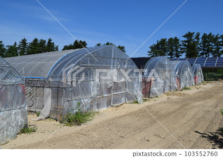 Agricultural plastic house 103552760