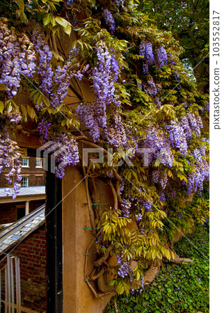 在漢普斯特德希思的公園 在漢普斯特德希思的公園 103552817