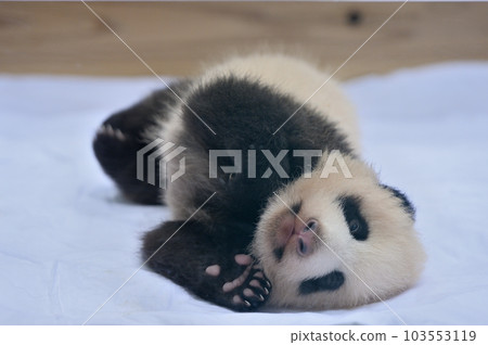 64天大的湯濱 103553119