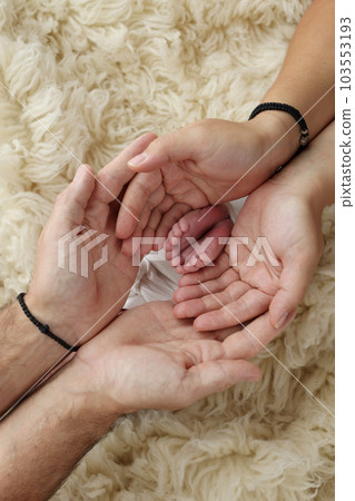 Feet of the newborn on the palms of the parents. The palms of the father and mother are holding the foot of the newborn baby in a white flokati blanket. Photography of a child's toes, heels and feet. 103553193