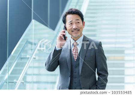 Senior businessman making a call on the stairs 103553485
