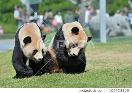 尋找零食梅濱/永濱 尋找零食梅濱/永濱 103553509