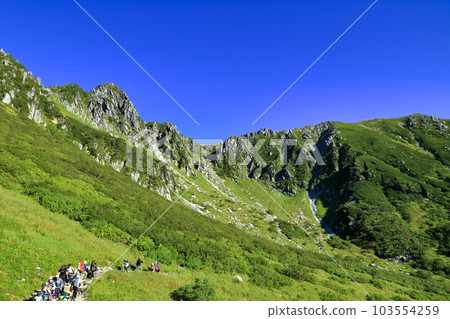 從木曾駒岳登山道看到的夏季千疊敷馬戲團(2021 年 8 月 / 長野縣) 從木曾駒岳登山道看到的夏季千疊敷馬戲團(2021 年 8 月 / 長野縣) 103554259