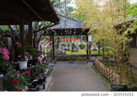 Street view of Peony Garden storefront Street view of Peony Garden storefront 103554281