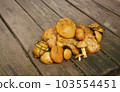 Fresh mushrooms on a wooden table. Heap of freshly picked mushrooms. 103554451