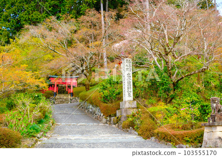 Kyoto, Nishiyama Yoshimine Temple Inari Shrine Kyoto, Nishiyama Yoshimine Temple Inari Shrine 103555170