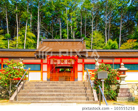 Main shrine of Oharano Shrine, Kyoto 103555258