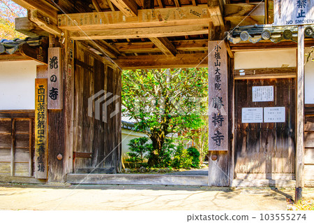 In front of the gate of Shojiji temple in Kyoto In front of the gate of Shojiji temple in Kyoto 103555274
