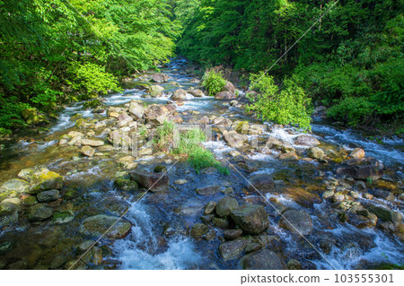Oashi 河，從 Takigahana 橋看，靠近 Furumine 神社，清新的綠色風景，鹿沼市 103555301