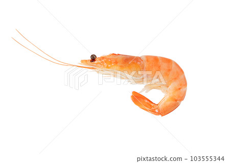 Cooked prawn isolated on white Cooked prawn isolated on white 103555344