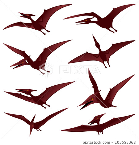 pterosaur material 103555368