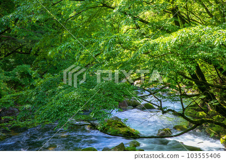 Oashi River, view from Takigahana Bridge, near Furumine Shrine, fresh green scenery, Kanuma City Oashi River, view from Takigahana Bridge, near Furumine Shrine, fresh green scenery, Kanuma City 103555406