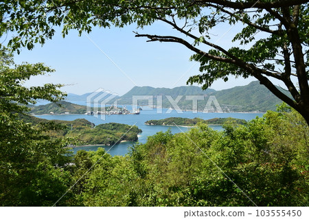 透過樹林欣賞島波海道眾多島嶼的美景 透過樹林欣賞島波海道眾多島嶼的美景 103555450