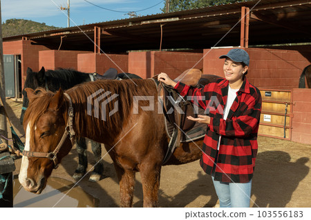 Portrait of smiling young European woman adjusting saddle of horse before horseback ride in country club Portrait of smiling young European woman adjusting saddle of horse before horseback ride in country club 103556183