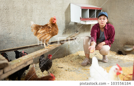 Woman farmer feeding bird in the backyard of village house Woman farmer feeding bird in the backyard of village house 103556184