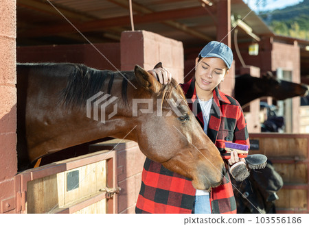 Portrait of young woman with brushes in her hands for cleaning and caring for horses at horse farm 103556186