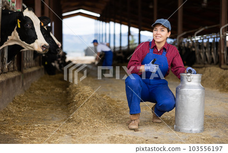 Portrait of young European woman dairy farmworker in uniform carrying metal milk can in cowshed Portrait of young European woman dairy farmworker in uniform carrying metal milk can in cowshed 103556197