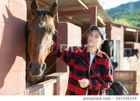 Caring young female stroking horse on animal ranch on autumn sunny day Caring young female stroking horse on animal ranch on autumn sunny day 103556334