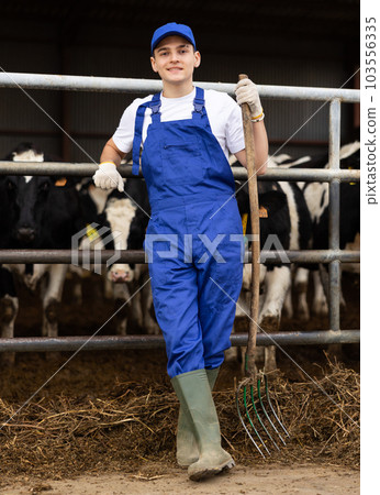 Farmer man stands with rake at cow farm Farmer man stands with rake at cow farm 103556335