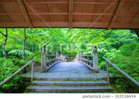 Furumine神社，Furumine花園，從大門看，新綠季節，鹿沼市 103556634