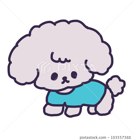 Illustration of a cute toy poodle puppy wearing dog clothes Illustration of a cute toy poodle puppy wearing dog clothes 103557388