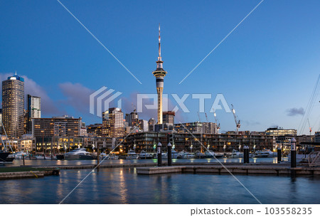 Twilight view of sky tower view from Viaduct Harbour in the central of Auckland, New Zealand. 103558235