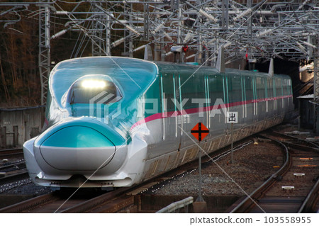 Tohoku/Hokkaido Shinkansen E5 series 103558955