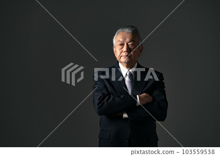 Businessman senior president Businessman senior president 103559538