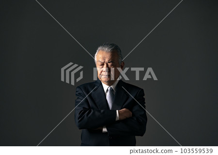 Businessman senior president 103559539