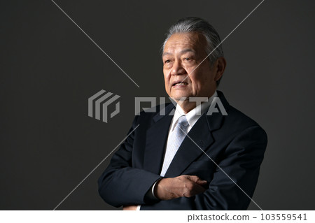 Businessman senior president Businessman senior president 103559541