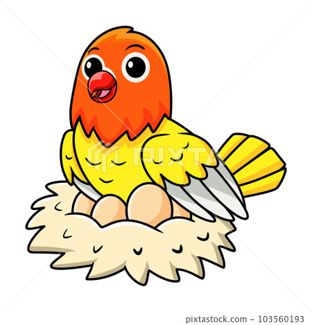Cute lutino lovebird cartoon with eggs in the nest 103560193