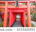 Shinto shrine torii 103560993