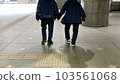 old couple walking 103561068
