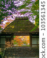 Kyoto Honen-in Autumn 103561345