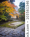 Kyoto Honen-in Autumn 103561346