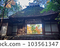 Kyoto Honen-in Autumn 103561347
