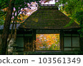Kyoto Honen-in Autumn 103561349