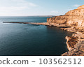 Panoramic view of Punta Piramides in Valdes Peninsula with a sealions colony. Argentine Patagonia. 103562512