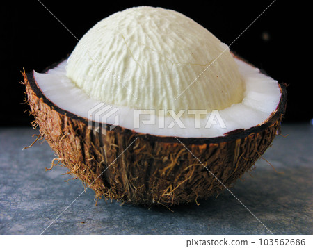 White sprouted coconut White sprouted coconut 103562686
