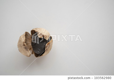 Fatigue Recovery A Piece of Black Garlic 103562980