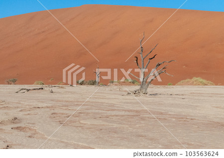 Barren landscape near Deadvlei and sossusvlei 103563624