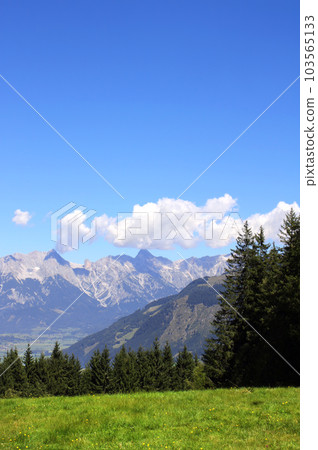 Alps mountains in Tirol, Austria. Aerial view of idyllic mountain scenery in Alps with green grass and fur-trees on sunny day Alps mountains in Tirol, Austria. Aerial view of idyllic mountain scenery in Alps with green grass and fur-trees on sunny day 103565133